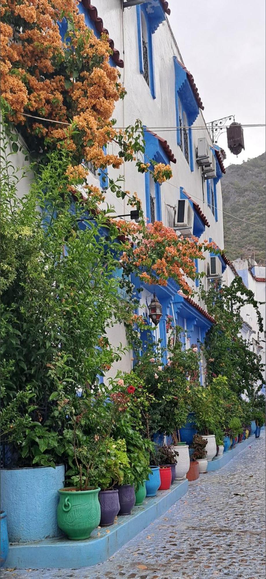Dar Yakout Ξενοδοχείο Chefchaouen Εξωτερικό φωτογραφία